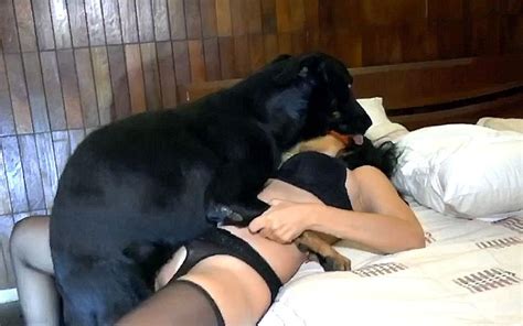 Xxx Sex With A Dog Is Kind Of Weird Thing But Masked Whore
