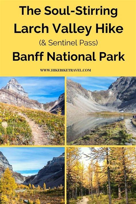 Larch Valley Hike Plus Sentinel Pass Hike Bike Travel Banff