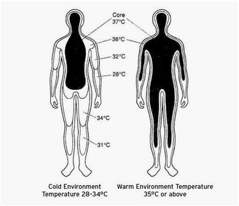 Maintaining Body Temperature Nursing