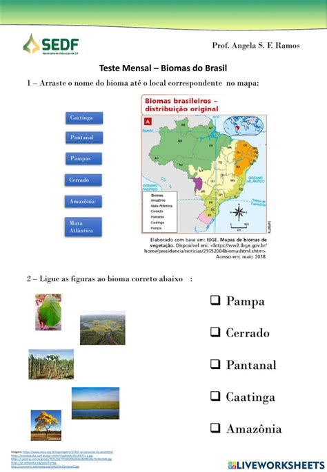 Biomas Brasileiros Interactive Activity Interactive Activities