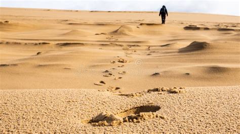 Silhouette Of A Woman Walking Away On A Sand Dune Stock Photo Image