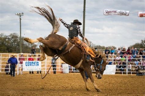 Daily weather update wed., feb. 2021 Daily Fair Schedule