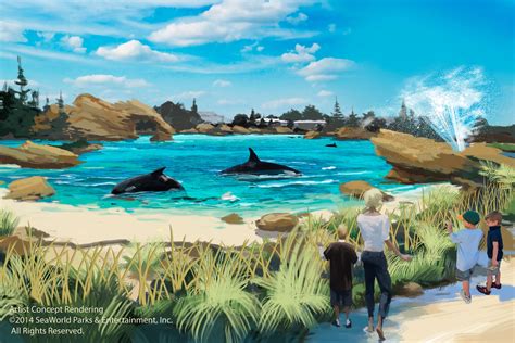 Seaworld Announces Bigger Tanks For Orcas Fox 5 San Diego And Kusi News