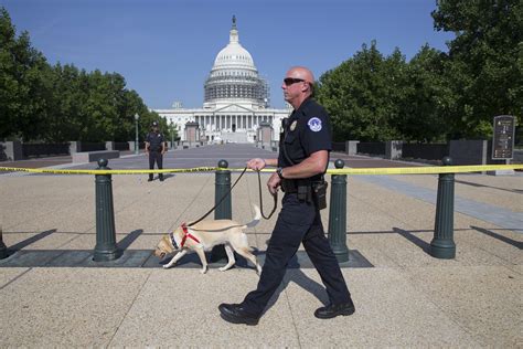 Supporters of us president donald trump enter the us capitol's rotunda on january 6, 2021, in chaos erupts in washington, where mass protests put the nation's capitol on lockdown. U.S. Capitol lockdown lifted | wtsp.com