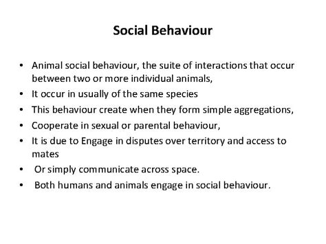Social Behaviour Animal Social Behaviour The Suite Of
