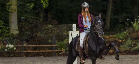 Hanna binke, jannis niewöhner, amber bongard vb. Ostwind 2 läuft in den Kinos - Der Reitsport Blog