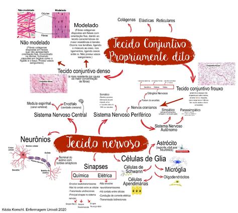 Mapa Mental Tecido Conjuntivo E Tecido Nervoso Histologia I CLOUD HOT GIRL