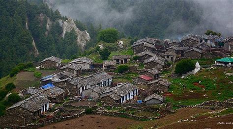 Deserted Houses Wild Fields Where Have People Gone From Uttarakhands