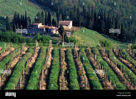 Europe Italy Tuscany Scenic Villa Cyprus Stock Photo Alamy