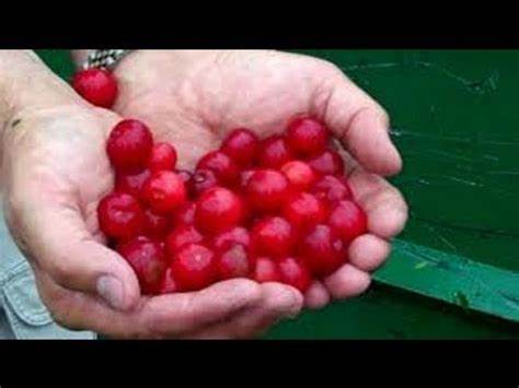 Диета 6 подагра рецепты