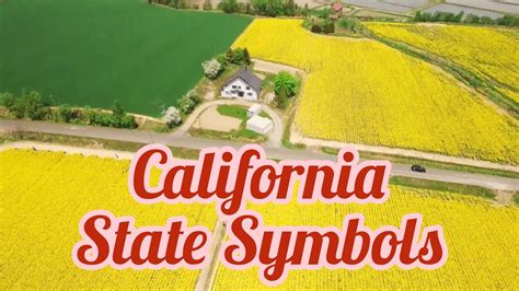 11 California State Symbols Youtube