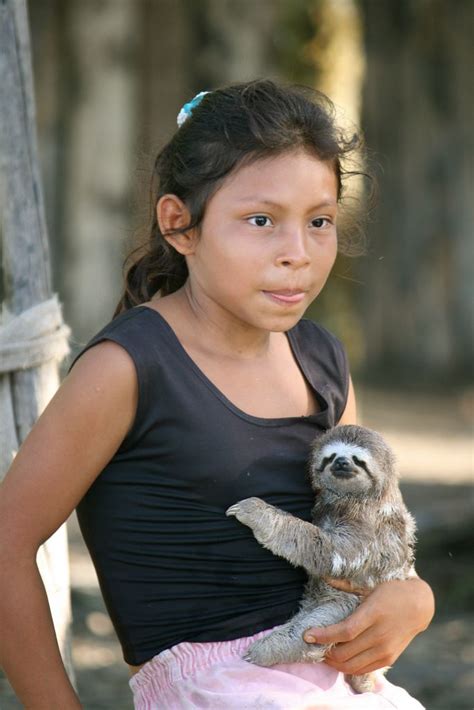 Amazonian Child With Pet Sloth Cute Baby Sloths Pets Cute Animals