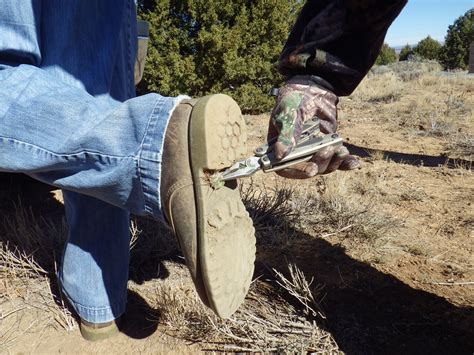 Am i impeding their growth? SAN JUAN ELK HUNT, DAY TWO, 2013 « BearsButt.com | Stories ...