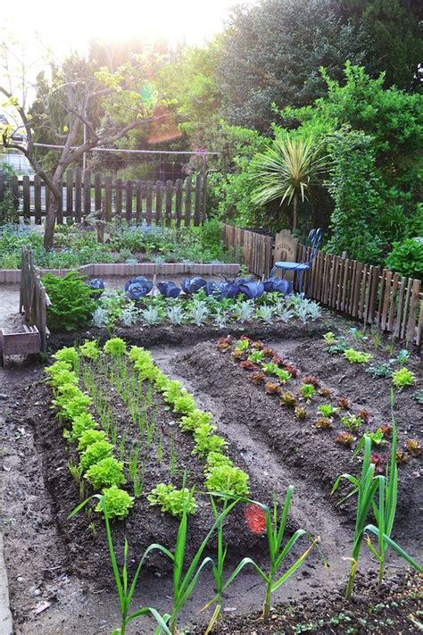 If you like to add flowers to your vegetable garden plans, then you'll love this design. 40 Stunning Vegetable Garden Design Ideas Perfect For ...