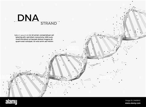 3d dna wireframe, medical innovation. Life gene science graphic