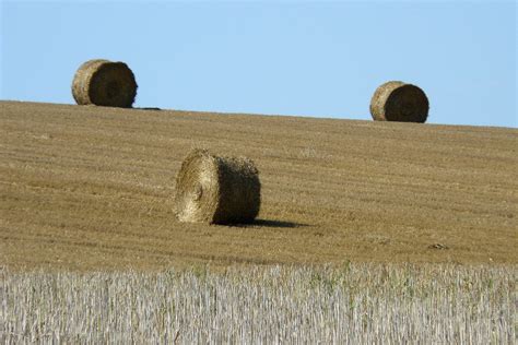 Hay Bale 16 Free Photo Download Freeimages