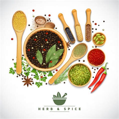 Free Vector Herb And Spice Poster Especiarias Ervas Temperos