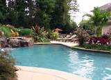 Tropical Pool Landscaping Ideas Images