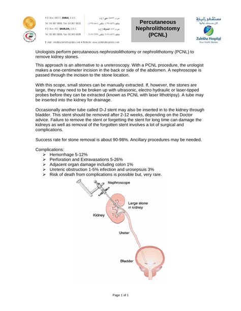 Pdf Percutaneous Nephrolithotomy Pcnl · Page 1 Of 1 Urologists