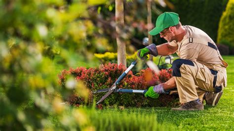 About Us Brians Lawn Care