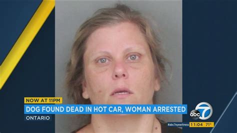 Ontario Woman Arrested After Dog Dies In Hot Car Abc7 Los Angeles