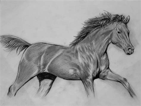 From emails any time in 1 click. How to Draw a Realistic Horse Step by step Video for ...