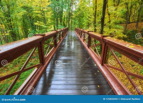 Beautiful Wooden Bridge In The Forest Colored Leaves Stock Image