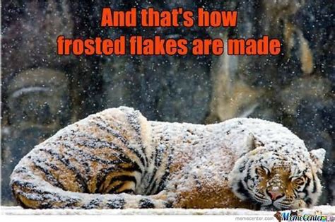 15 Top Frosted Flakes Meme Jokes And Images Quotesbae