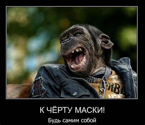 Самые смешные прикольные картинки с ржачными надписями Картинка - Самые смешные прикольные картинки с ржачными надписями