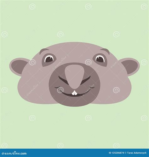 Wombat Face Vector Illustration Flat Style Front