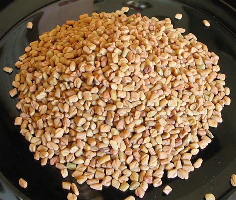 The Medicinal Properties Of Fenugreek — Health And Wellness —