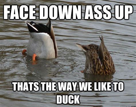 Face Down Ass Up Thats The Way We Like To Duck Funny Memes About Girls Funny Jokes