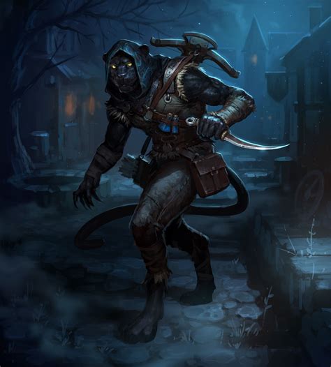 M Tabaxi Rogue Assassin Leather Armor Shortsword Crossbow Dungeons And Dragons Characters