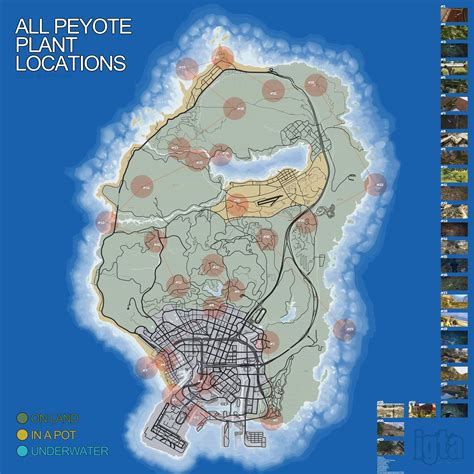 Gta 5 Peyote Plants Locations Guide Gta 5 Cheats