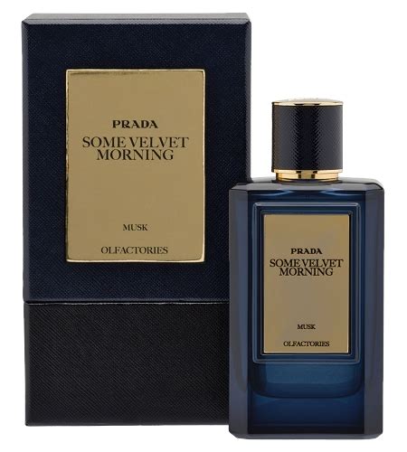 Olfactories Some Velvet Morning Fragrance By Prada Perfumemaster Com