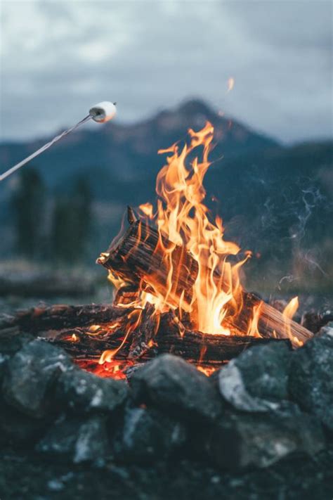 Campfire Camping Fire Cozy Marshmallow Autumn