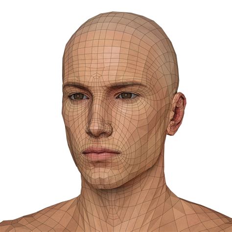 Male Character Realistic 3d Model