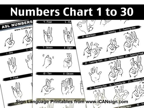 Baby Sign Language Asl Resources