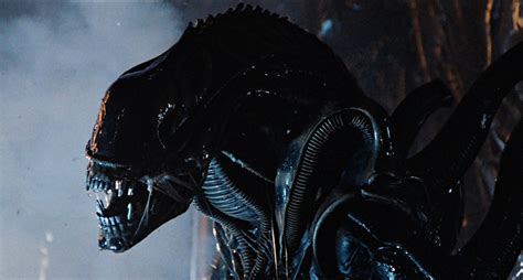 In space no one can hear you scream. Alien (1979) « Celebrity Gossip and Movie News