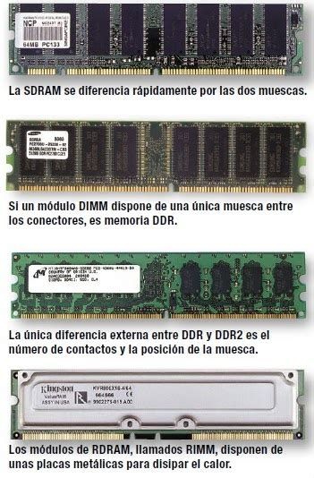 Partes Del Computador Formatos Dimm Y Simm Y Ram Actuales Ddr1ddr2ddr3