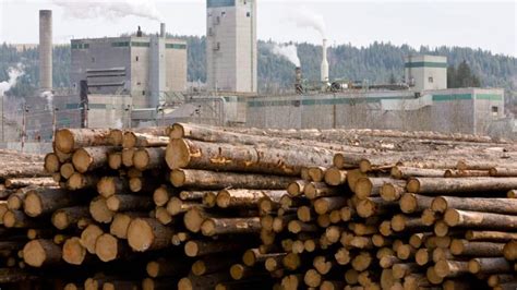 Alberta Forestry Industry On The Upswing Calgary Cbc News