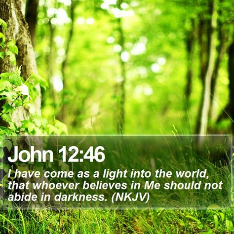 Daily Bible Verse John 1246 John 1246 I Have Come As A Flickr