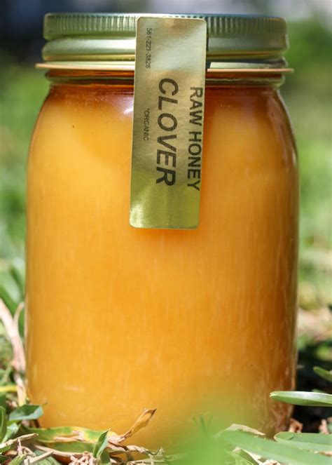 raw organic creamed clover honey liquid gold raw honey