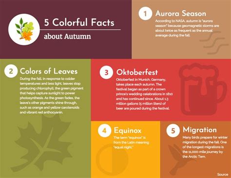 5 Facts About Autumn List Infographic Template