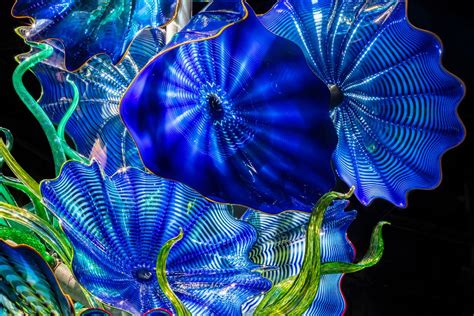 Celebrated Artist Dale Chihuly To Hold Major Exhibition At Gardens By