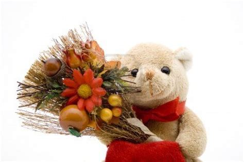 Maybe you would like to learn more about one of these? Flowers & Bears | Bear, Teddy, Flowers