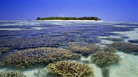 The Amazing World The Great Barrier Reef Islands Worlds Largest