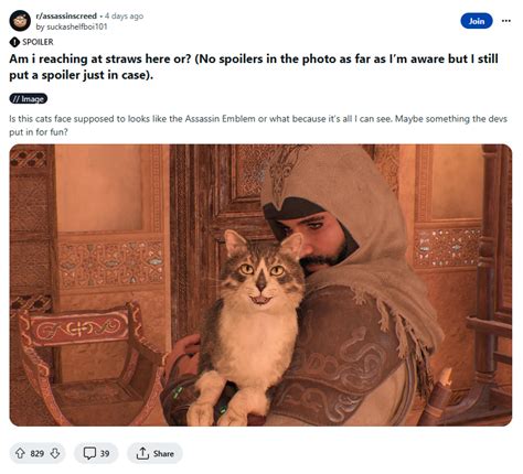 Assassins Creed Mirage Features A Cat With An Assassins Creed Branded