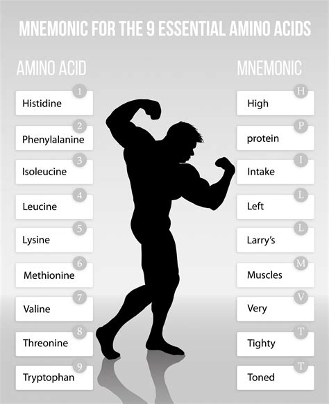 Mnemonic To Remember The Essential Amino Acids Food Science Toolbox