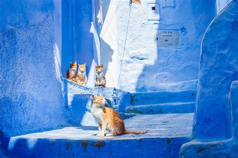 The Truth About Moroccos Blue City Chefchaouen Heart My Backpack